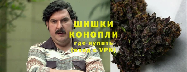 Альфа ПВП Каменка
