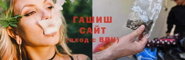 Альфа ПВП Каменка