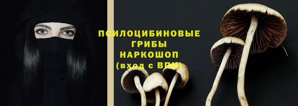 мет Каменногорск