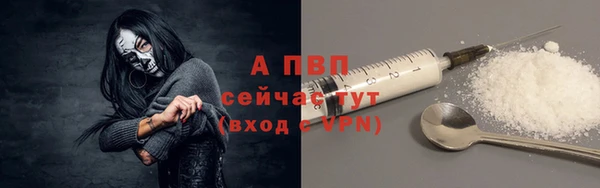 Альфа ПВП Каменка
