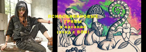 мет Каменногорск