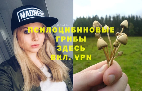 MESCALINE Карпинск