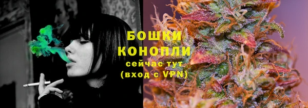 Альфа ПВП Каменка