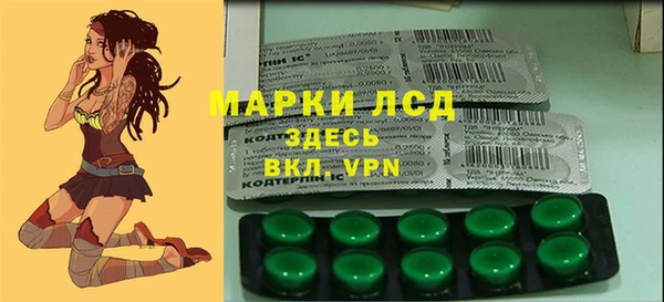 Альфа ПВП Каменка