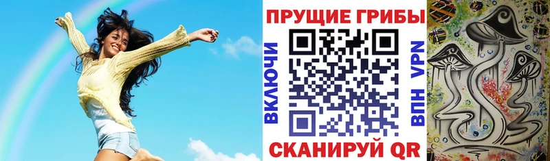 Псилоцибиновые грибы мухоморы  Купить где  Игарка 